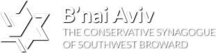 Logo for B'nai Aviv of Weston, FL